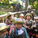 소새울어린이집 이미지