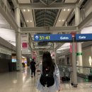 Europe 2. 터키항공 (인천-이스탄불-바르셀로나) 탑승후기/기내식/이스탄불 환승 방법