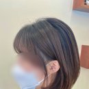 아르브헤어 arvv 이미지