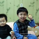 맛난녀석들 이미지