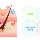 덕은하이동물병원 이미지