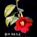 좋은하루 이미지