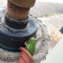 구송동길 이미지