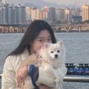 몽시떼루 이미지
