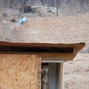 개들의왕국 이미지