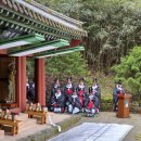 지리산남악제 | [방송 촬영 후기] KBS 광주 <남도 이맘때> 촬영 스케치: 구례의 천년 역사와 노란 갓꽃, 그리고 너무나...