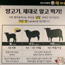 램마을 | 울산 송정동 양고기, 송정동 맛집 램마을 후기