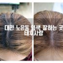 태후사랑 노은점