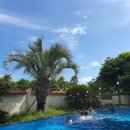 오션트리 이미지