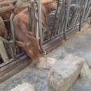 (주)쌍용에프엔씨 이미지