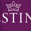 제이에스티나 카카오 검색결과