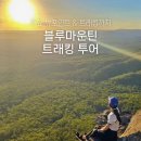 블루 | 시드니 블루마운틴 투어 후기 마이시드니 그랜드캐년 트래킹 일일투어