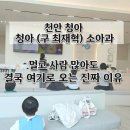 청아어린이집 | 천안 최재혁 소아과(청아), 멀고 사람 많아도 '결국' 여기로 오는 솔직한 이유 (주차/수액 후기)