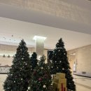 호텔인터불고 엑스코 | [대구 5성급 호텔 / 인터불고엑스코 호텔] 대구 인터불고 엑스코 호텔 "스탠다드 트윈" 후기💚