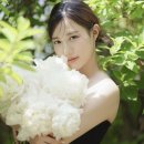 소유필름 이미지