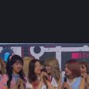 네로앤펫