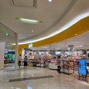 청아마트 | 마쓰야마 여행 - 2일차(이요테츠 다카시마야 백화점/에미풀마사키 아카짱혼포/미츠코시 백화점 마트)