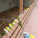 울타리영농조합법인 이미지