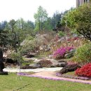 순천제일대학교 이미지