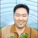 상추맘