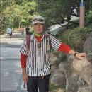 회기1 이미지
