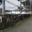 태평목장 이미지