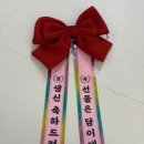 프롬 유니 이미지