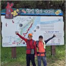 유채꽃길 이미지