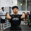 크로스핏하운드 이미지