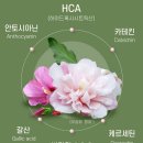무궁유통 | 무궁핏 가격 및 후기 다이어트 후기