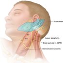 세원의원 이미지