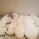 혜은농장 이미지