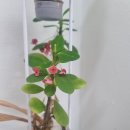 검암중학교 이미지