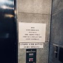 라이온헤어I