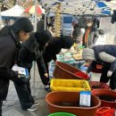 담양시장 이미지