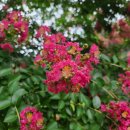 개비리길 펜션 이미지