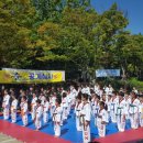 용인대 준 태권도 이미지