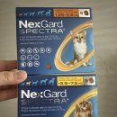 365큰솔약국 이미지