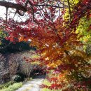 통나무펜션&편백쉼터 이미지