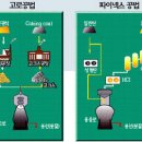 파이넥스