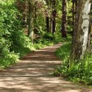 장지동 62-18 | [역사의 숨은 설계자]62.바오 스천(包世臣): 청나라 말기 혼란에서 빛난 실용 개혁가