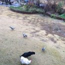 후다닥