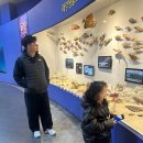 뉴월드수산 이미지