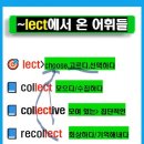 고3 여름방학 수능영어 1등급 찍을려면, 새 단어가 아니라 오답 단어 정리가 먼저 이미지
