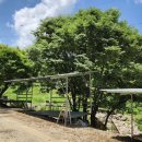 길목펜션민박 이미지