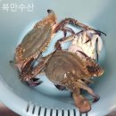 복만수산 네이버블로그