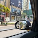 점복개 | 엄마랑 6월 제주도 동쪽 여행 / 2박 3일 잔잔한 코스 추천