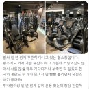 로얄짐 이미지