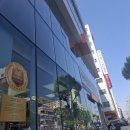 양지교통(주) | 세상이 돌다 못해 뒤집히는 경험 전정신경염 입원 후기