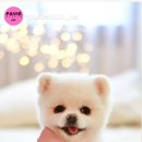 스튜디오 눕 이미지